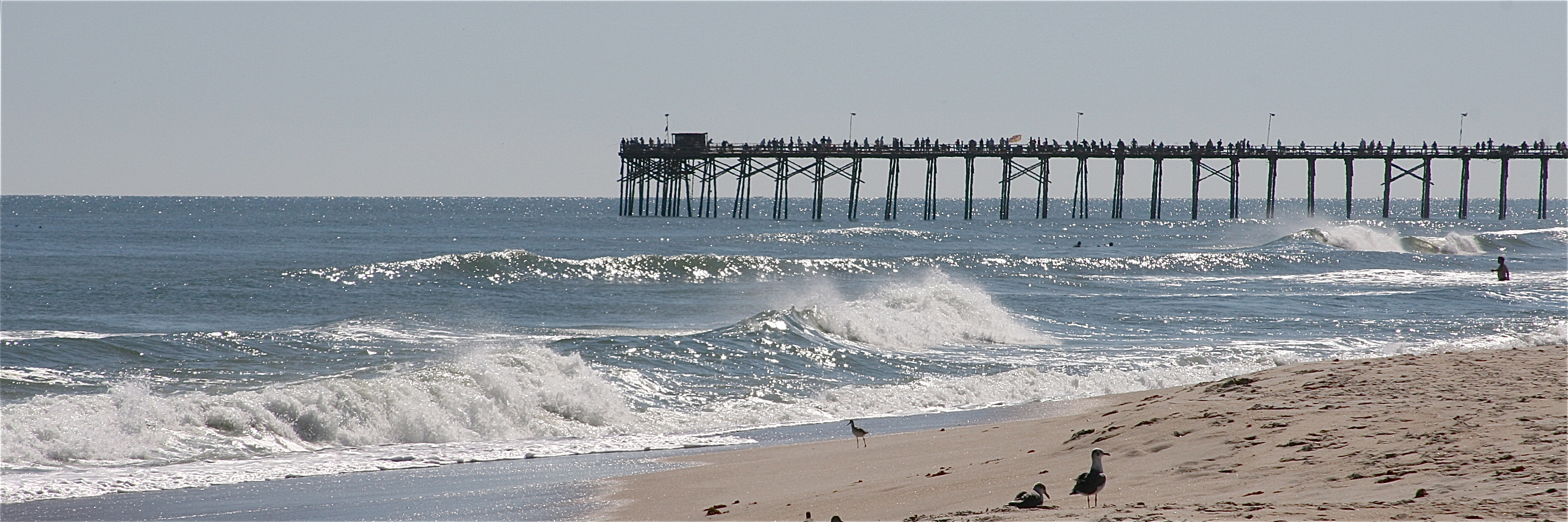 pier-beach.jpg